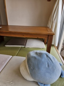 inbound2409106769905386673