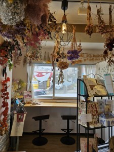 inbound423508438172550908