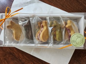 inbound8569871859946508977