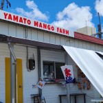 inbound8919839982003840001