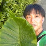 ワースマ さんのプロフィール写真