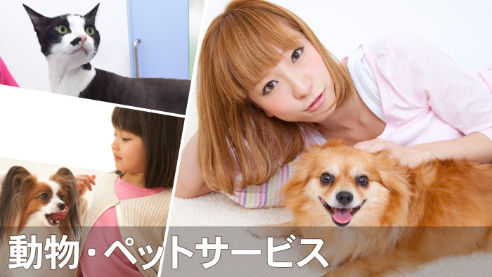 沖縄ペットサロン｜ワンちゃんネコちゃんシャンプー＆トリミング 簡単予約