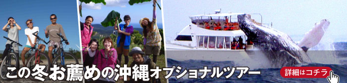 12-1月石垣島冬休み＆年末年始オススメのオプショナルツアー