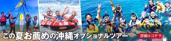 夏おすすめの沖縄オプショナルツアー