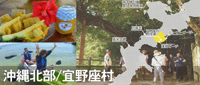 宜野座村（ぎのざ）のレジャー・マリンスポーツ