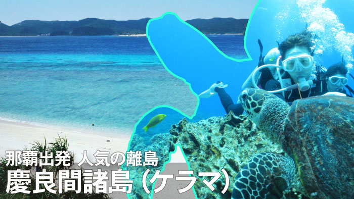 那覇出発 慶良間諸島｜マリンスポーツ・ダイビング 格安ツアー簡単予約