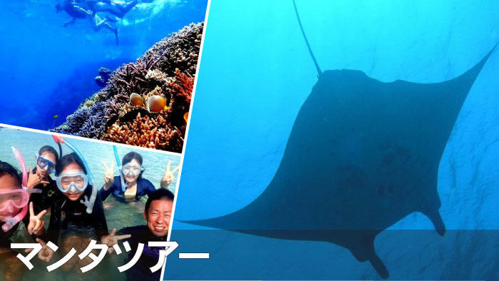 石垣島｜マンタ シュノーケリング