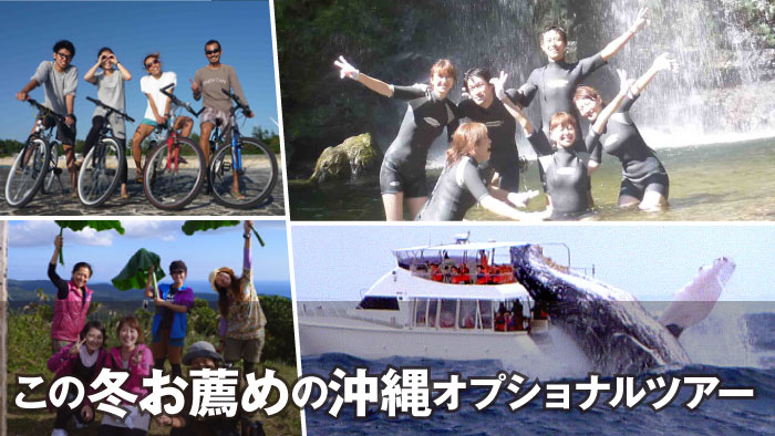 12-1月冬休み・年末年始 沖縄おすすめの遊び・レジャー