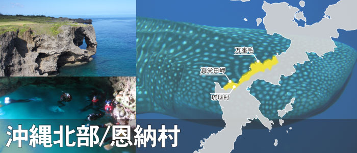 恩納村（おんな村）の人気アクティビティ・マリンスポーツ・体験 格安ツアー簡単予約